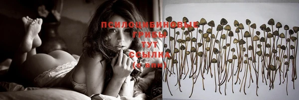 spice Богородицк