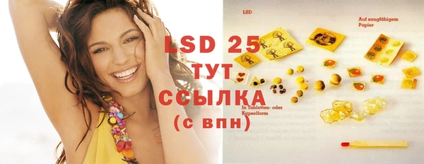 spice Богородицк