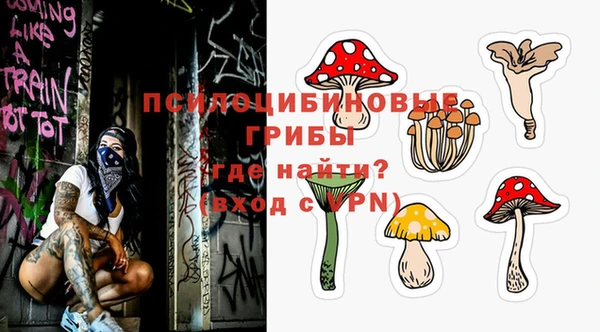 стаф Бронницы