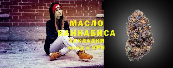 spice Богородицк